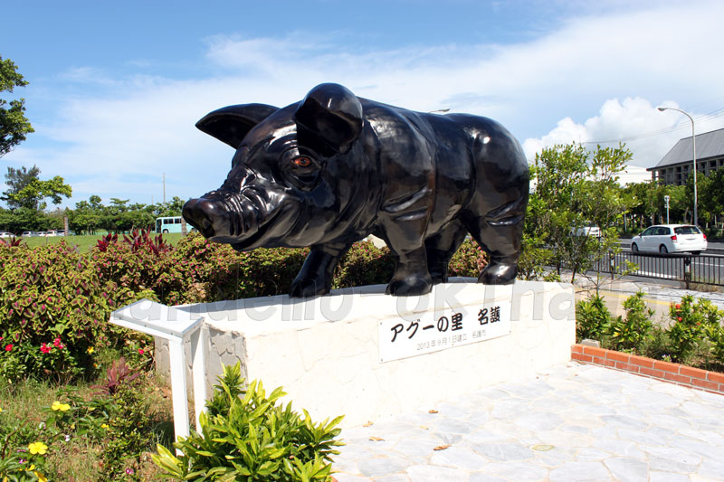 Okinawa Aguu statue outside of Nago city hall