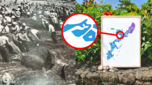 Okinawa Nago Dolphin Hunt