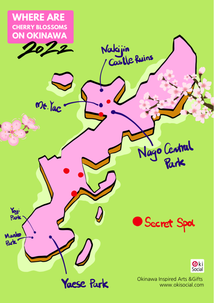 Okinawa Cherry Blossom Locations