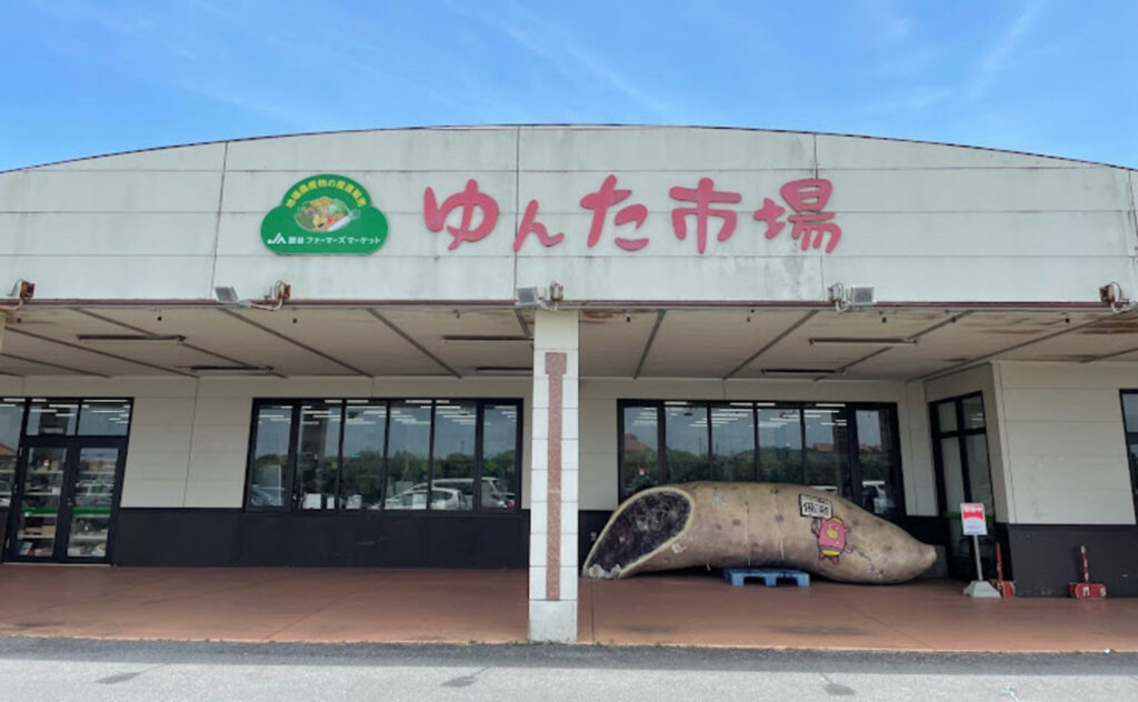 Yomitan Sweet Potato Festival