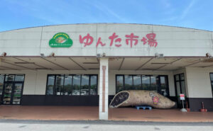 Yomitan Sweet Potato Festival