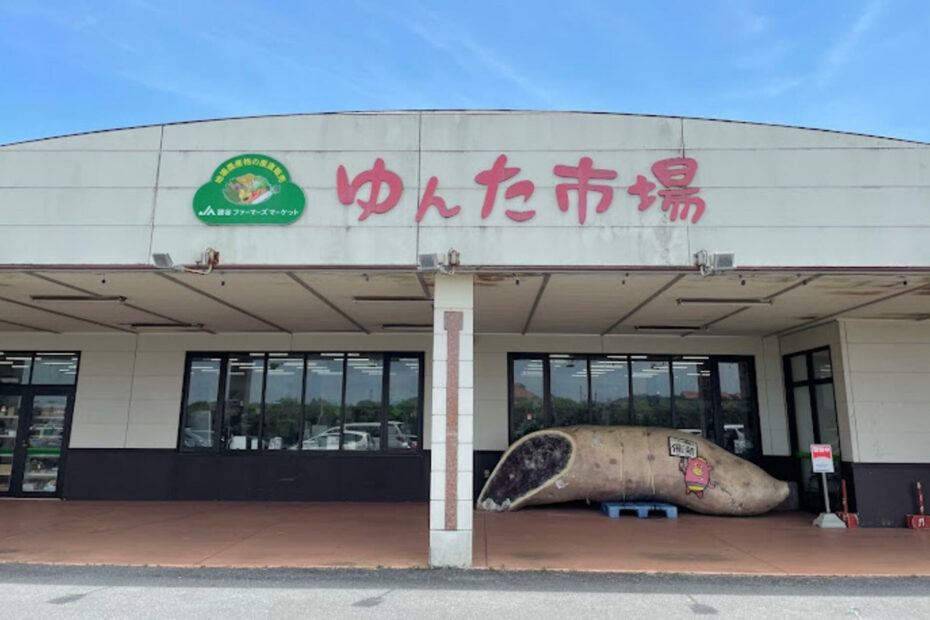 Yomitan Sweet Potato Festival