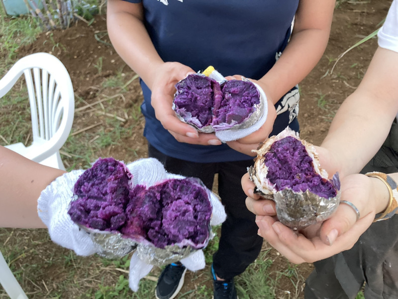 Yomitan Sweet Potato Festival